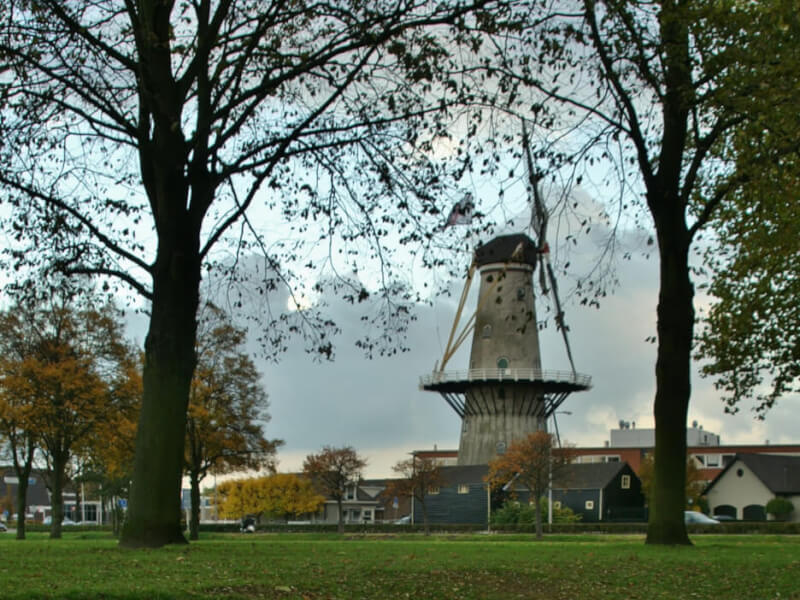 Wateringen Hofpark Wateringen herfst 2010 098 1